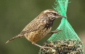 WildBird Feast Cylinder - Small