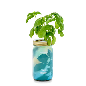 Herb Garden Jar