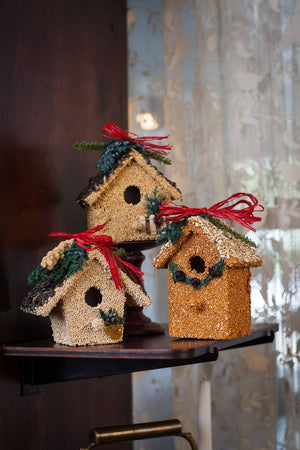 Mr Bird - Holiday Birdie Cottage Treat