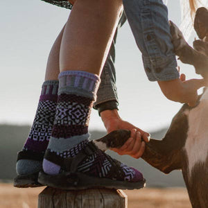 Solmate Socks - Wisteria Crew Socks