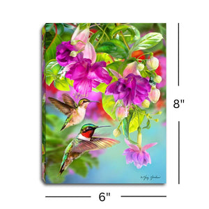 Hummingbirds and Fuchsia 6x8 Lighted Tabletop Canvas