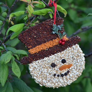 Mr Bird - Frosty Christmas Cookie