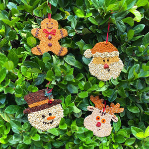 Mr Bird - Frosty Christmas Cookie