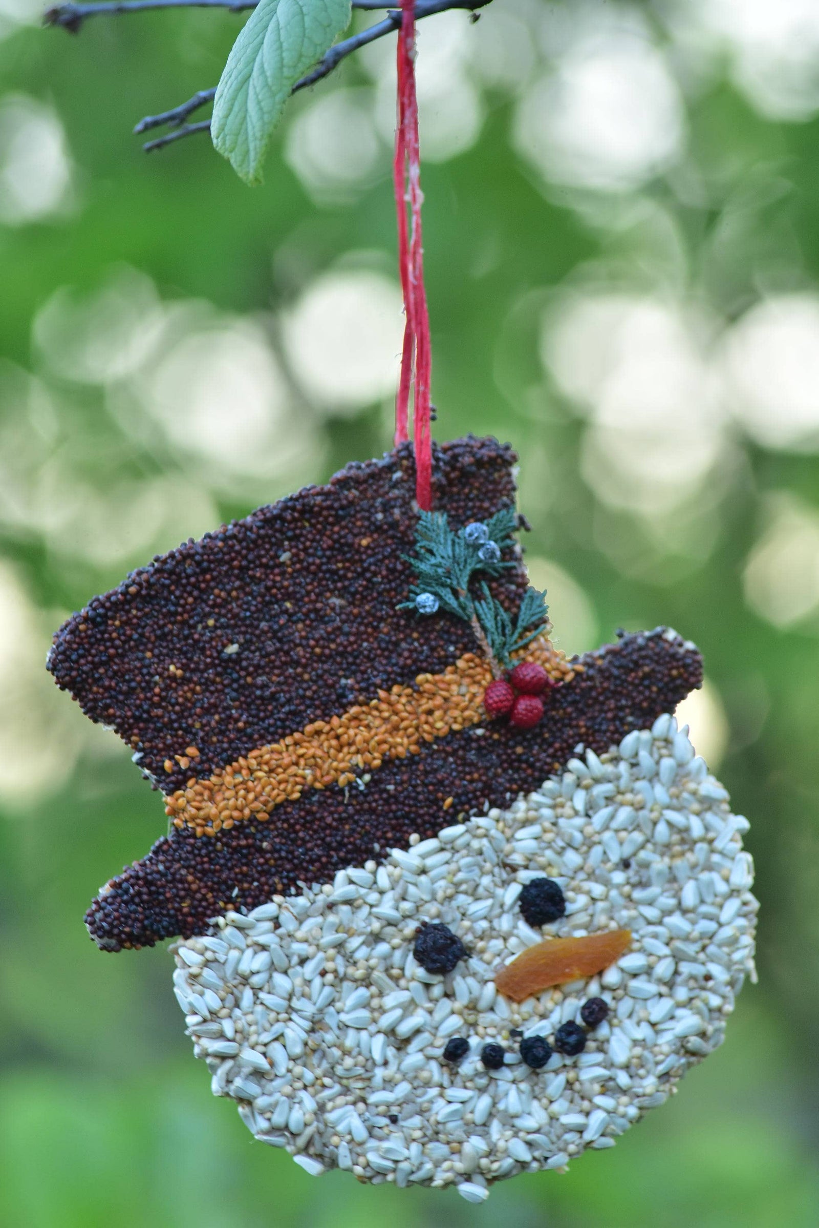 Mr Bird - Frosty Christmas Cookie