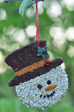 Mr Bird - Frosty Christmas Cookie
