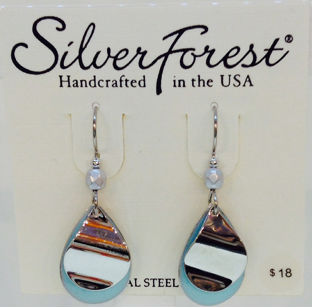 Silver And Turquoise Earring