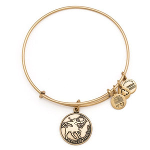 Zodiac Sagittarius