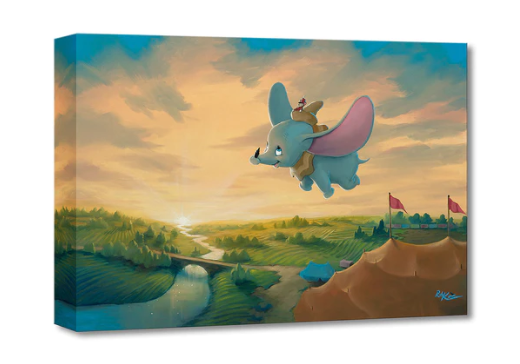 "Flight Over the Big Top" by Rob Kaz