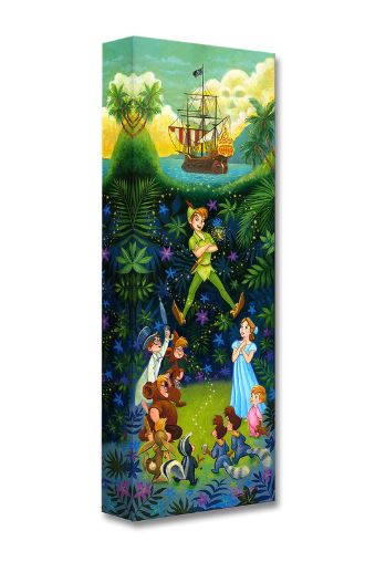 "The Hero of Neverland" by Tim Rogerson