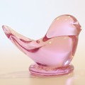 Adult Pink Bird Of Hope
