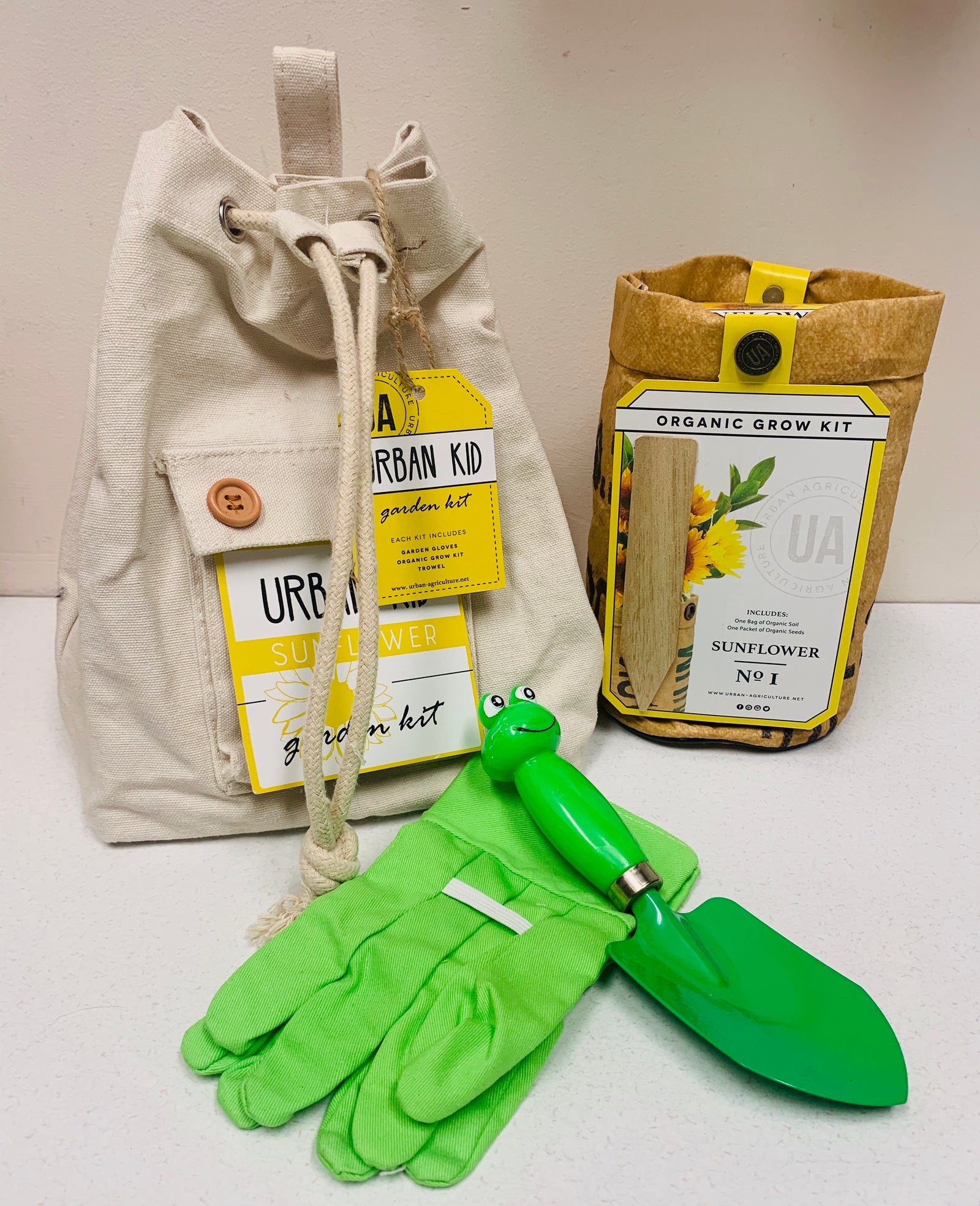 Kid Set-Grow Your Own Sunflower