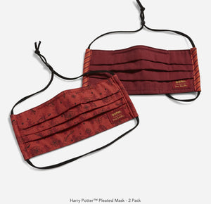 Harry Potter Pleated Mask-2 Pack